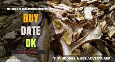 Are Expired Dried Porcini Mushrooms Still Safe to Eat?