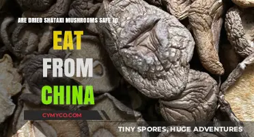 Exploring the Safety of Dried Shiitake Mushrooms Imported from China