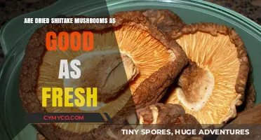 Dried Shiitake Mushrooms: A Tasty and Nutritious Alternative to Fresh