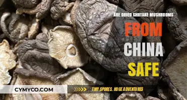 Exploring the Safety of Dried Shiitake Mushrooms Imported from China