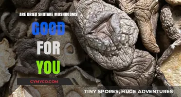 Exploring the Health Benefits of Dried Shiitake Mushrooms