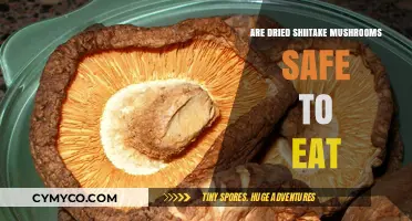 Exploring the Safety and Benefits of Dried Shiitake Mushrooms