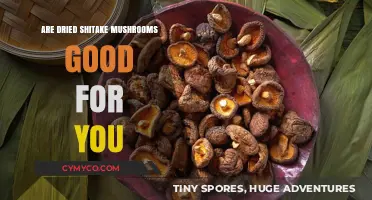 Exploring the Health Benefits of Dried Shiitake Mushrooms