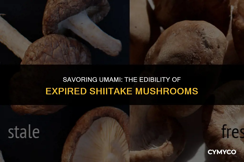 are dried shitake mushrooms still edible after expiry date