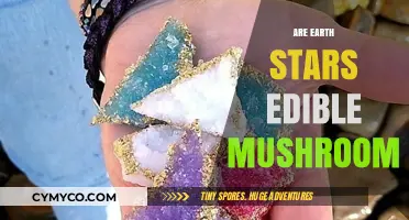 Exploring the Edibility of Earth Stars: A Mushroom Enthusiast's Guide