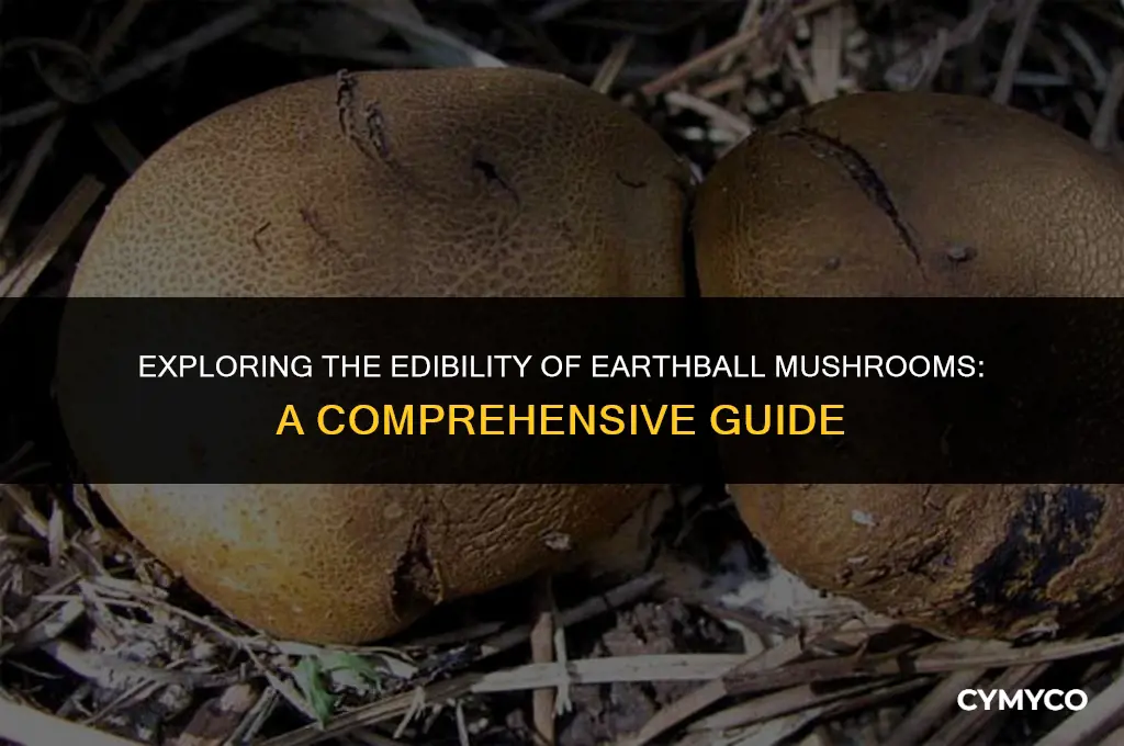 are earthball mushrooms edible