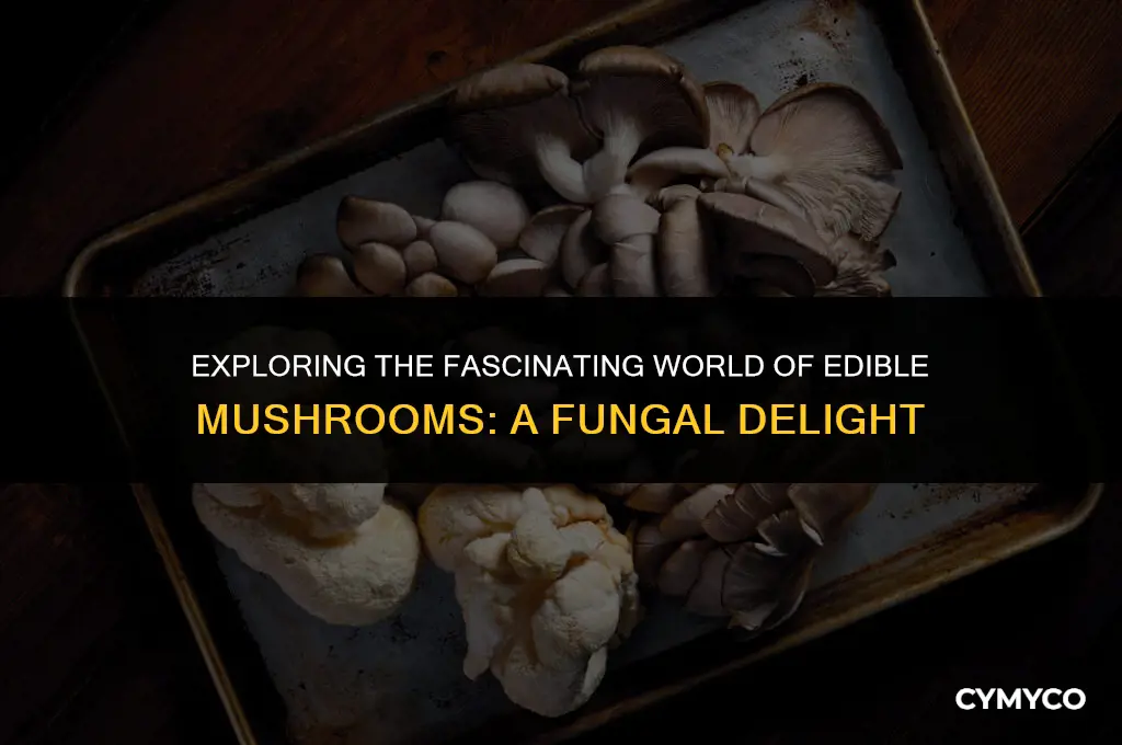 are edible mushrooms a fungus