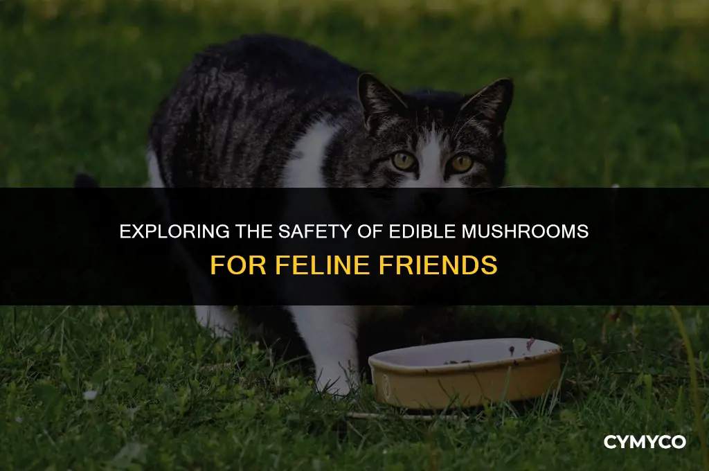 are edible mushrooms bad for cats