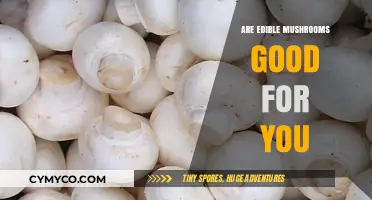 Exploring the Health Benefits of Edible Mushrooms: A Nutritional Guide