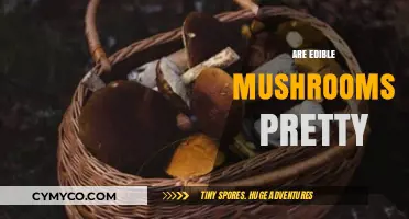 Exploring the Aesthetic Appeal of Edible Mushrooms: A Visual Journey