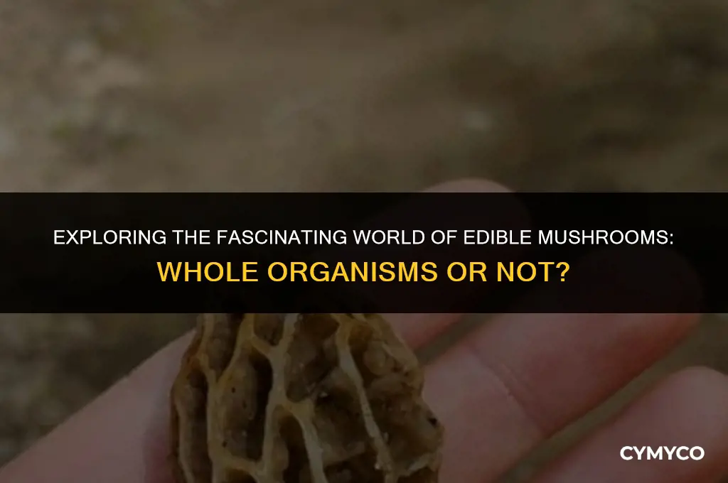 are edible mushrooms whole organisms
