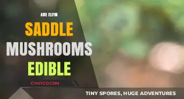Exploring the Edibility of Elfin Saddle Mushrooms: A Comprehensive Guide