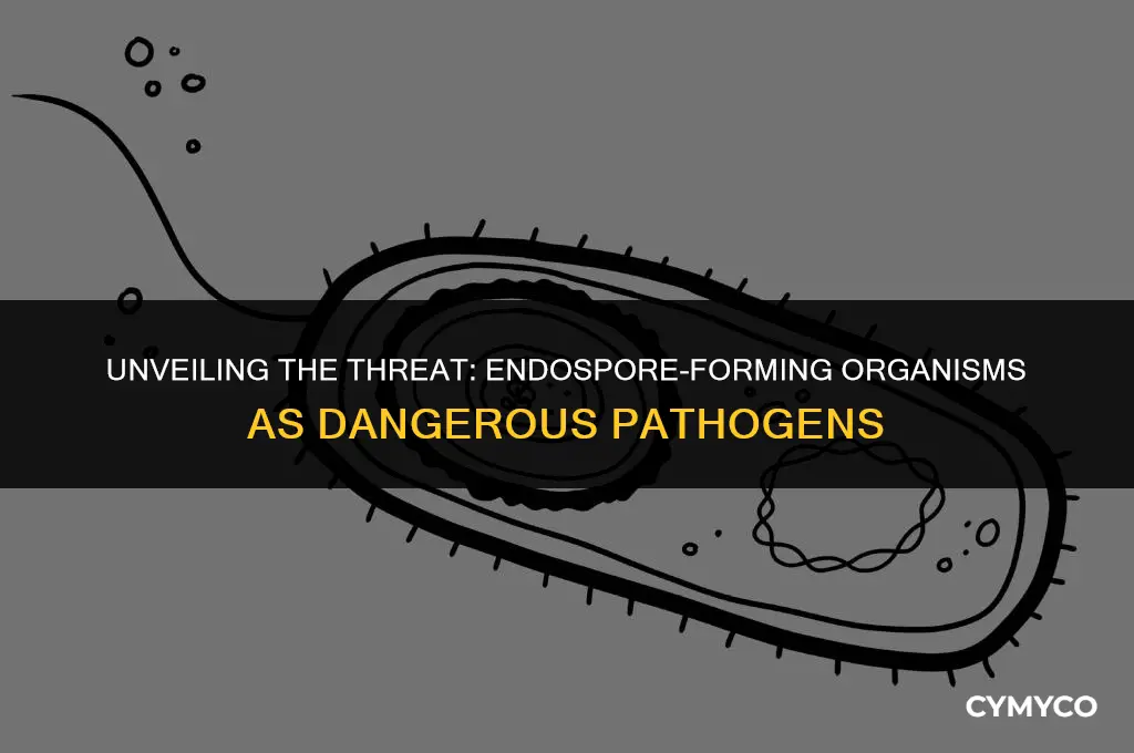 are endo spore forming organism dangerous pathogens