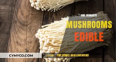 Exploring Edibility: The Truth About Enoki Mushrooms