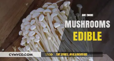 Exploring Edibility: The Truth About Enoki Mushrooms