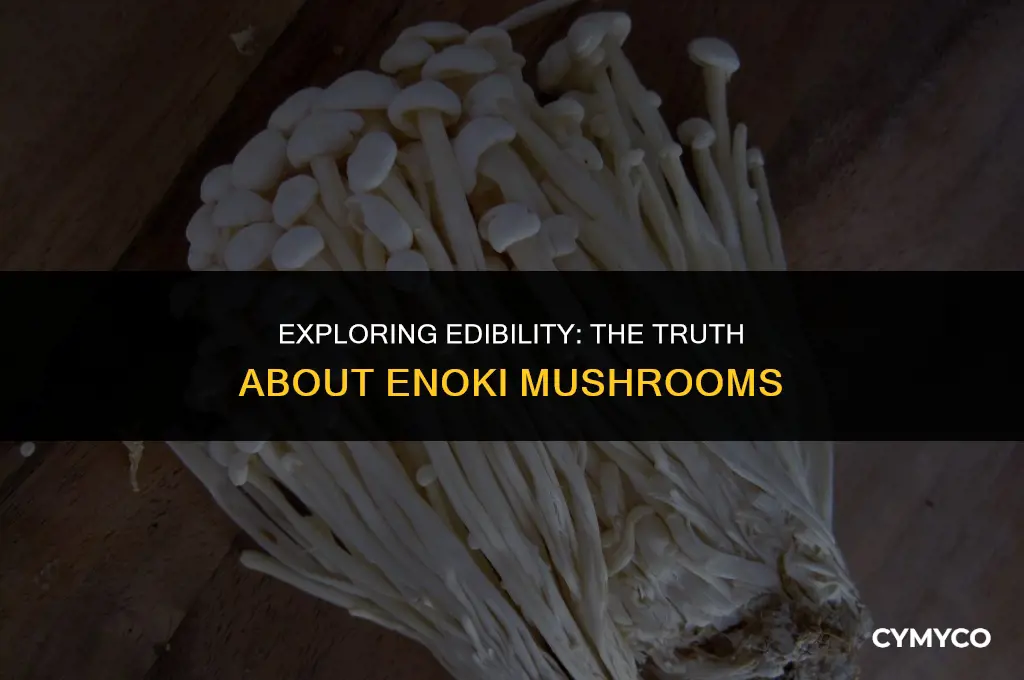 are enoki mushrooms edible