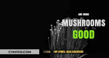 Are Enoki Mushrooms Good? Health Benefits and Culinary Uses Explained