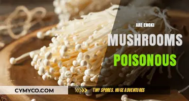 Are Enoki Mushrooms Poisonous? A Comprehensive Guide to Their Safety