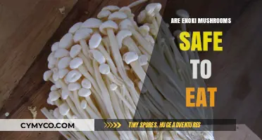 Exploring Edibility: Are Enoki Mushrooms Safe to Eat?