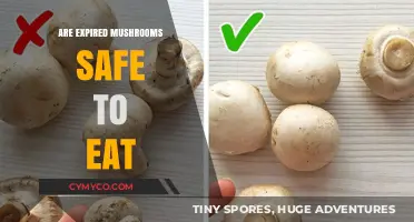 The Risky Business of Expired Mushrooms: A Food Safety Guide