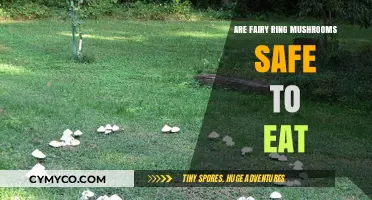 Exploring the Edibility of Fairy Ring Mushrooms: A Comprehensive Guide