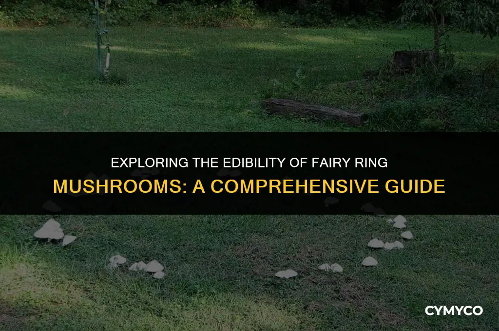 are fairy ring mushrooms safe to eat