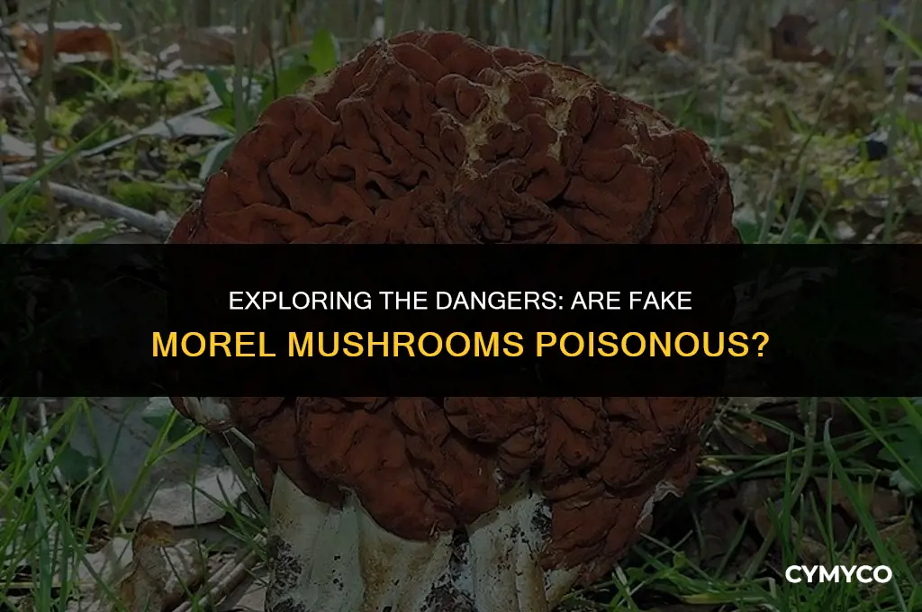 are fake morel mushrooms poisonous