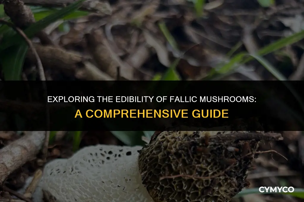 are fallic mushrooms poisonous