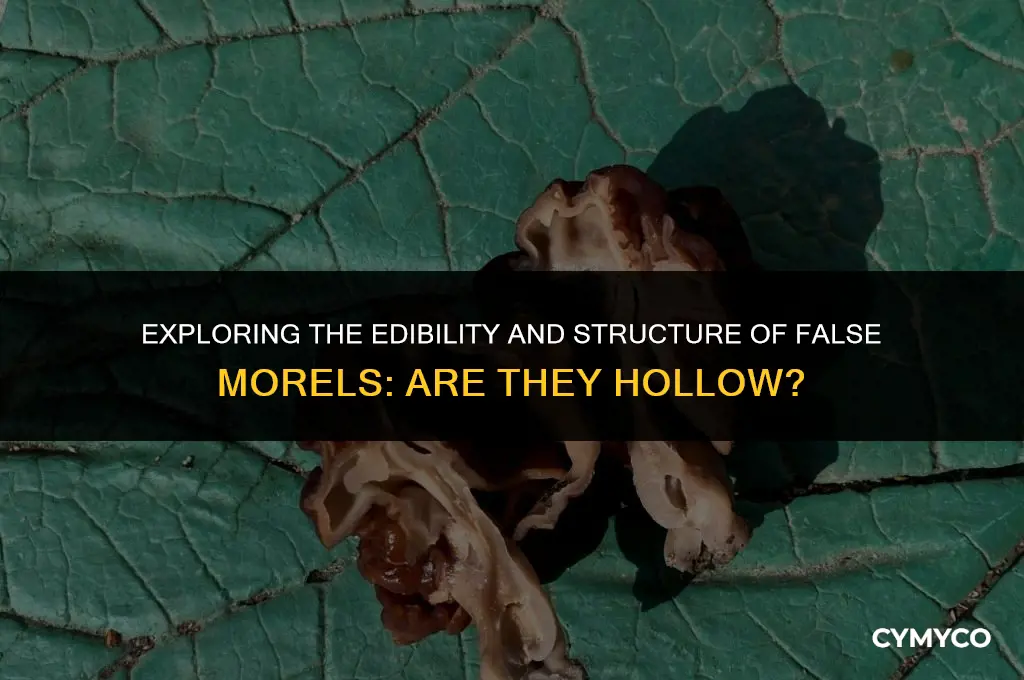 are false morel hollow