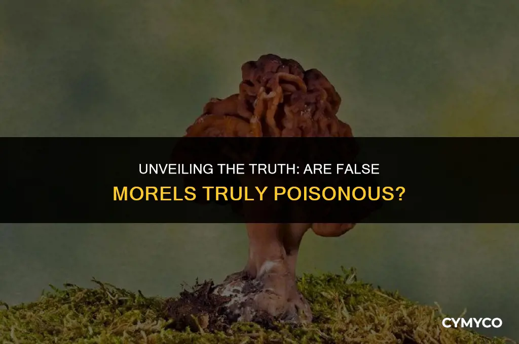 are false morelees poisiose