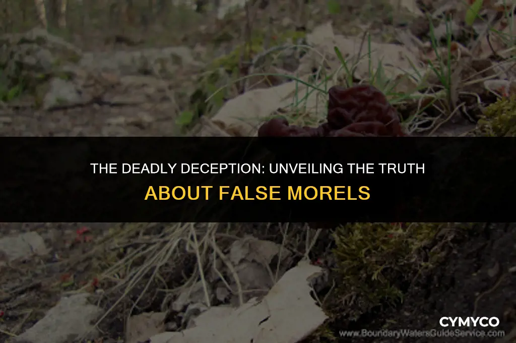 are false morels deadly
