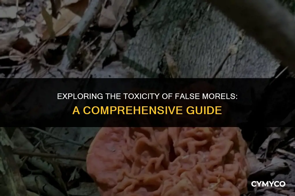 are false morels poisonous