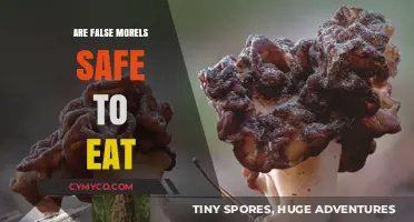 Exploring the Edibility and Safety of False Morels: A Comprehensive Guide