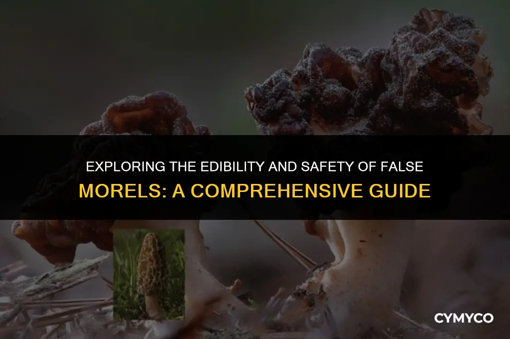 are false morels safe to eat