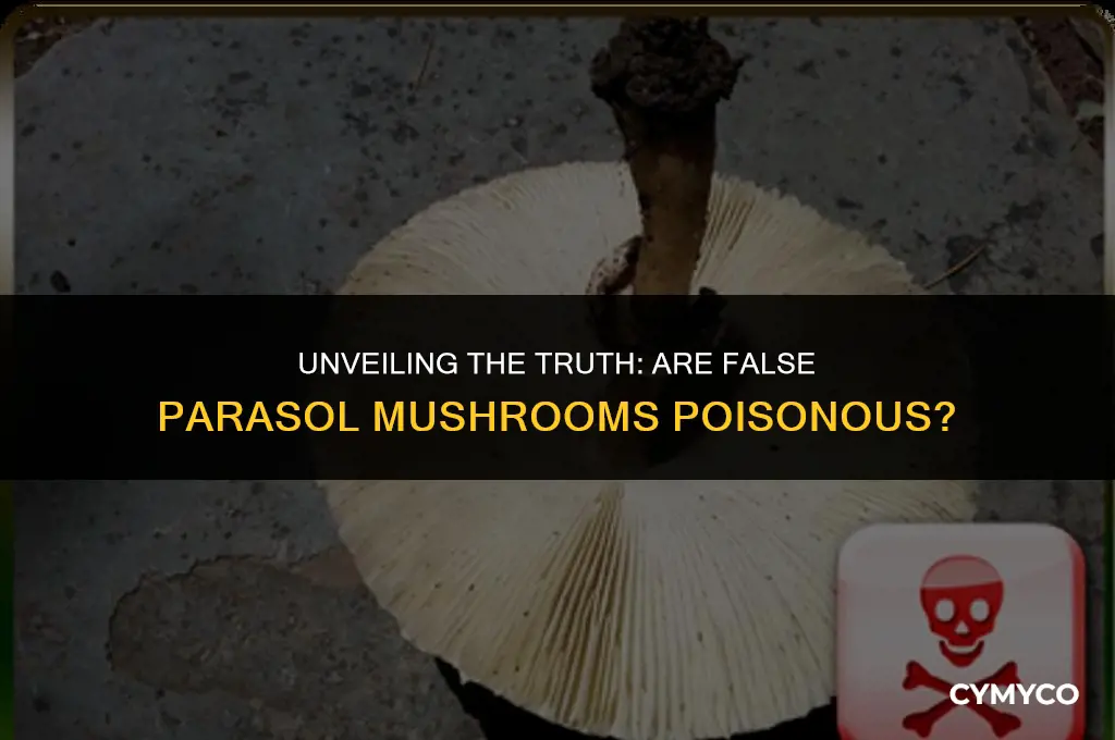 are false parasol mushrooms poisonous
