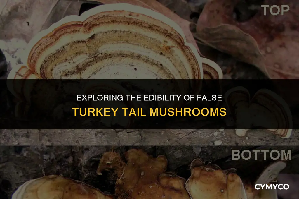 are false turkey tail mushrooms poisonous