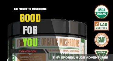 Exploring the Health Benefits of Fermented Mushrooms: A Nutritional Guide