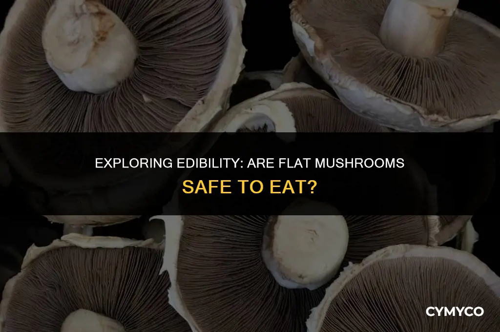 are flat mushrooms edible