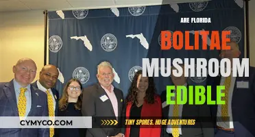 Exploring the Edibility of Florida's Boletae Mushrooms: A Guide