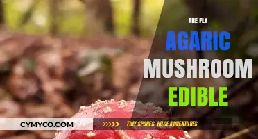 Exploring the Edibility of Fly Agaric Mushrooms: A Comprehensive Guide