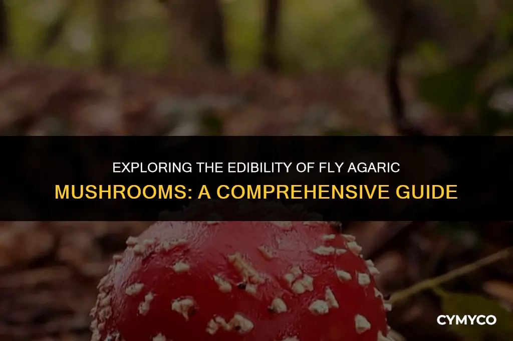 are fly agaric mushrooms edible