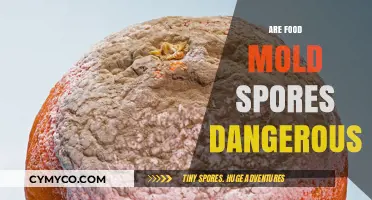 Unveiling the Truth: Are Food Mold Spores Really Dangerous?