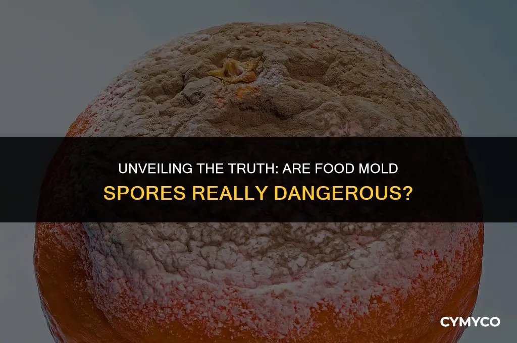 are food mold spores dangerous