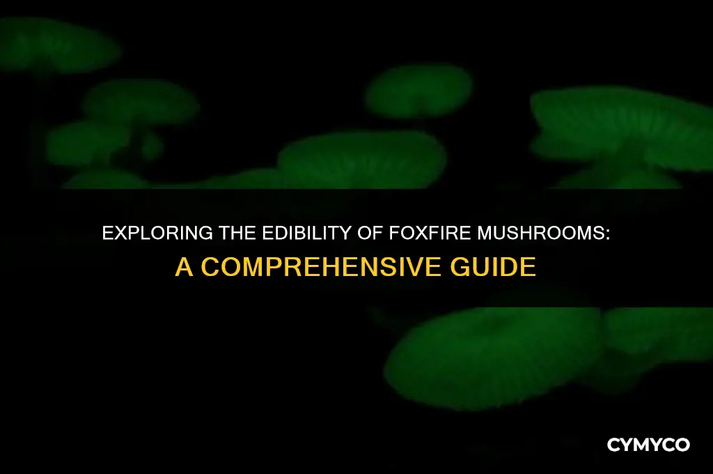are foxfire mushrooms edible