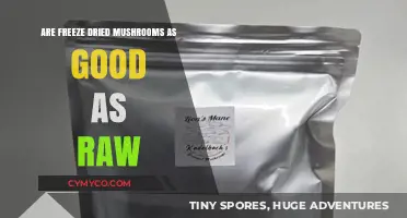 Exploring the Nutritional Value of Freeze-Dried Mushrooms vs. Raw