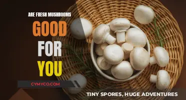 Exploring the Health Benefits of Fresh Mushrooms: A Nutritional Guide