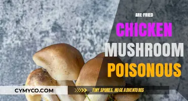 The Truth About Fried Chicken Mushrooms: Are They Poisonous?