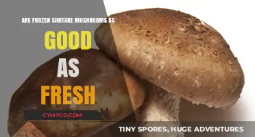 Frozen vs. Fresh Shiitake Mushrooms: A Culinary Comparison