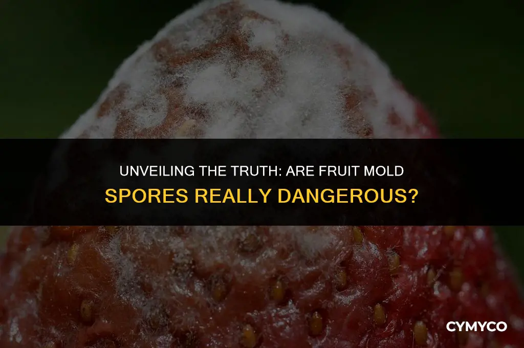 are fruit mold spores dangerous