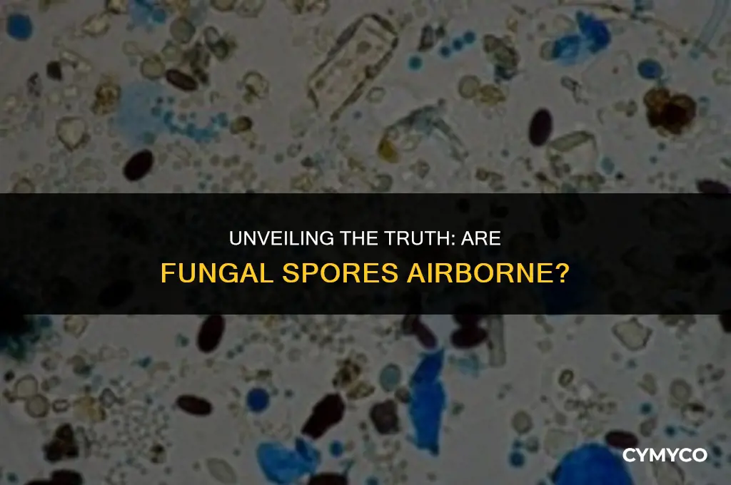 are fungal spores airborne